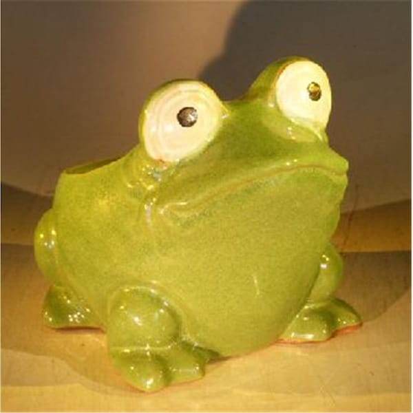 Parche 7 x 9 x 7.5 in. Frog Planter, Green PA2806465 - main